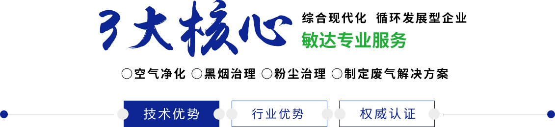 骚货被狂干啊啊啊敏达环保科技（嘉兴）有限公司